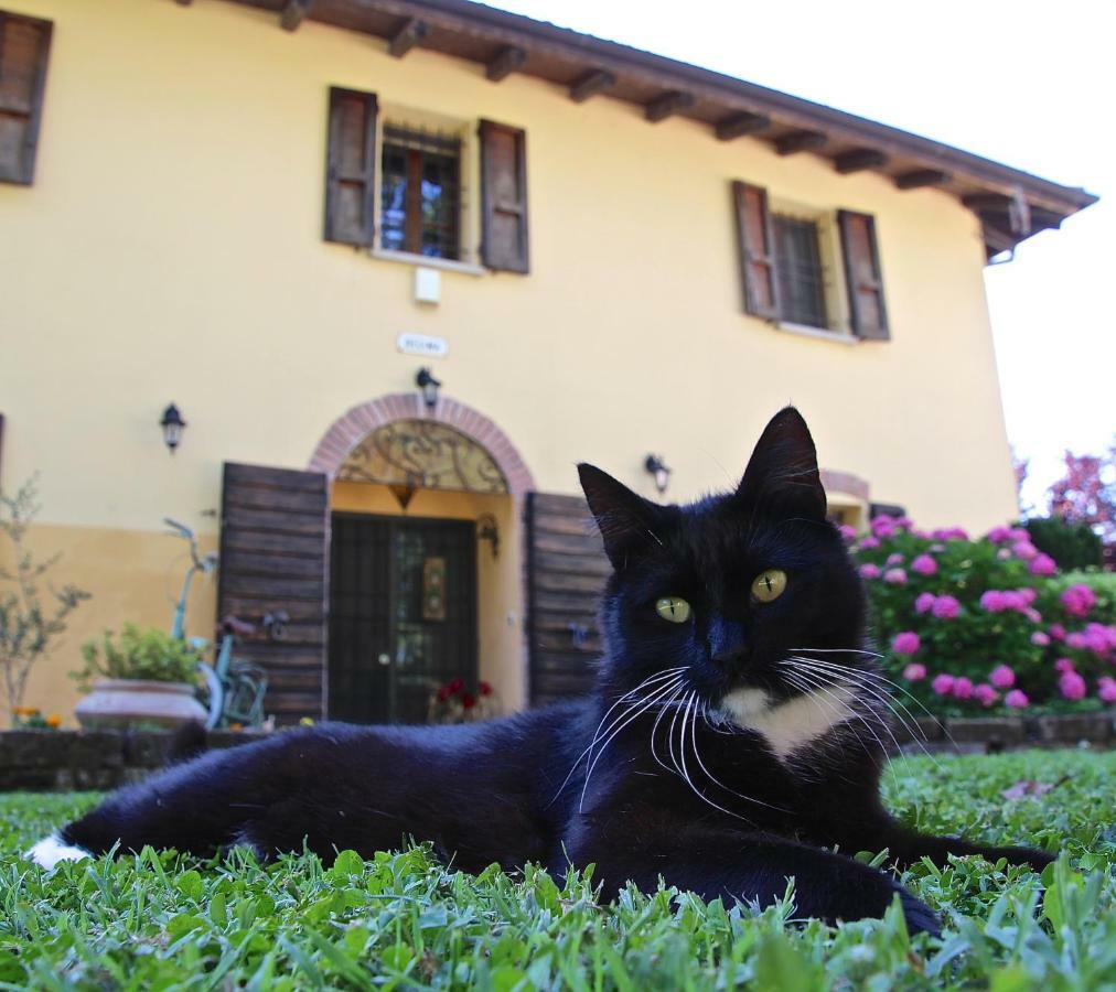 Bed and Breakfast Casale la Decima Budrio  Exterior foto